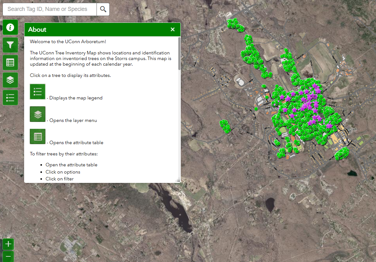 UConn Tree GIS Inventory