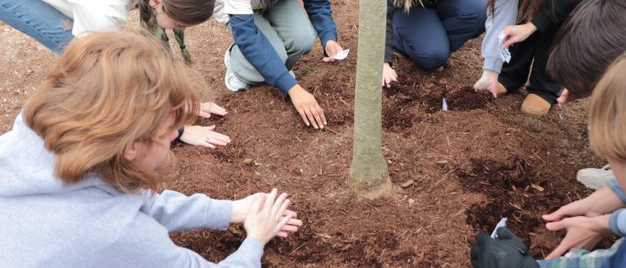 Student members of the graduating class of 2028 kneel over mulch to place paper wishes under the bark mulch