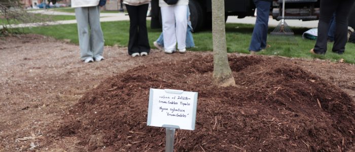 A garden stake is used as a marker to display the name of the Class of 2028 tree.